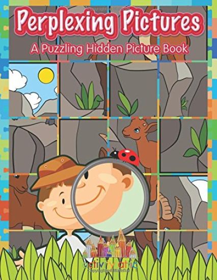 Perplexing Pictures: A Puzzling Hidden Picture Book