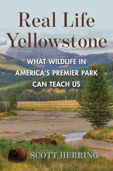 Real Life Yellowstone