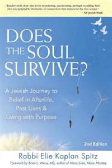 Does the Soul Survive? (2nd Edition)