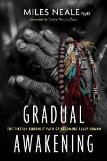 Gradual Awakening