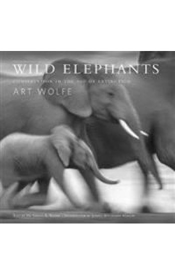 Wild Elephants