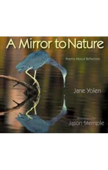 Mirror to Nature, A