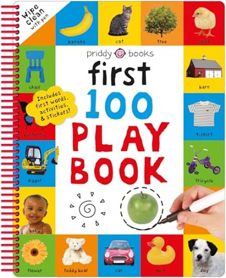 First 100 Play Book: A First 100 Words Wipe-Clean Activity Book