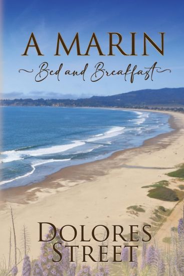 A Marin Bed and Breakfast