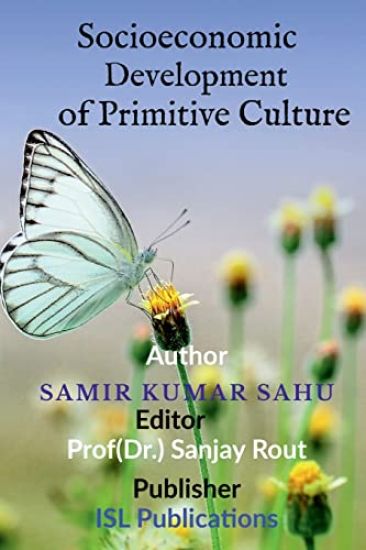 Socioeconomic Development of Primitive Culture