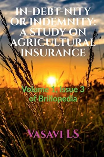 In-Debt-Nity or Indemnity