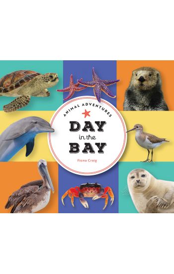 Animal Adventures: Day in the Bay