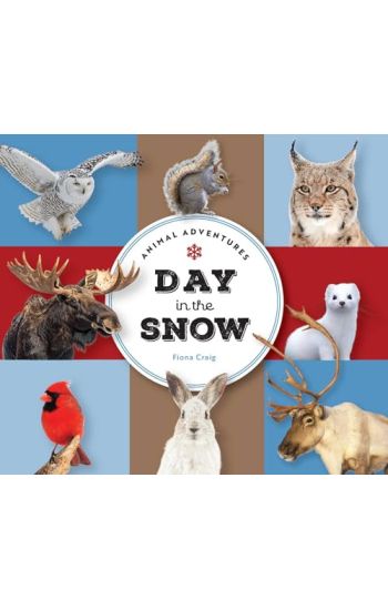 Animal Adventures: Day in the Snow