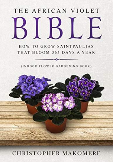 The African violet Bible