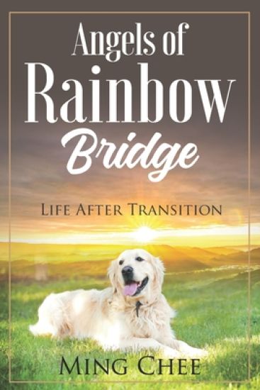 Angels Of Rainbow Bridge: Life After Transition
