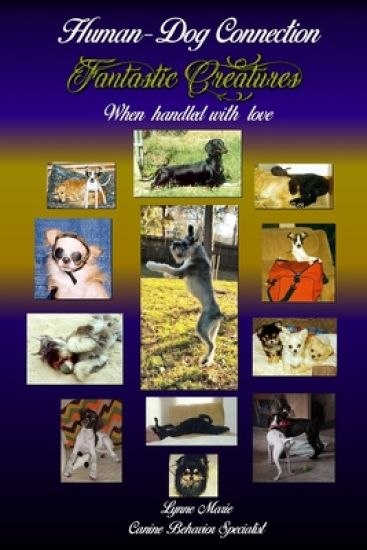 Fantastic Creatures: When handled with love