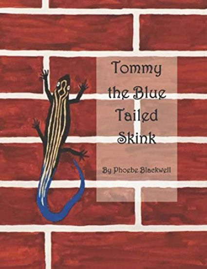 Tommy the Blue Tailed Skink