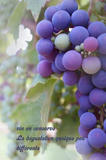 vin en conserve - La dégustation quelque peu différente: Un livre sur le vin à écrire soi-même