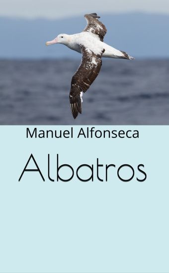 Albatros