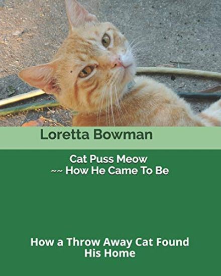 Cat Puss Meow How He Came To Be: How a Throw Away Cat Found His Home