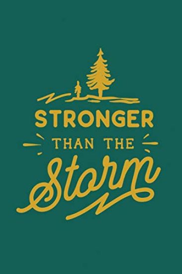 Stronger Than The Storm: 2020 Monthly Goal Tracker and Beyond