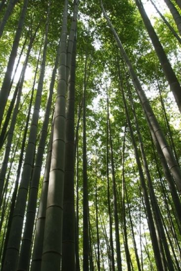 Forja de metal frio: Ninguém é forte até que precise