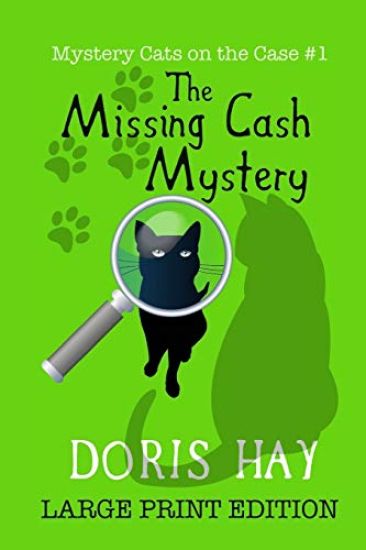 The Missing Cash Mystery: Large Print Edition
