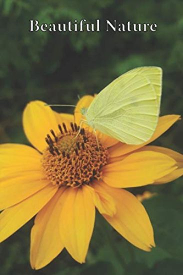 Beautiful Nature: For School and Notes, Gifts, 6" x 9" 120 Pages Checkered