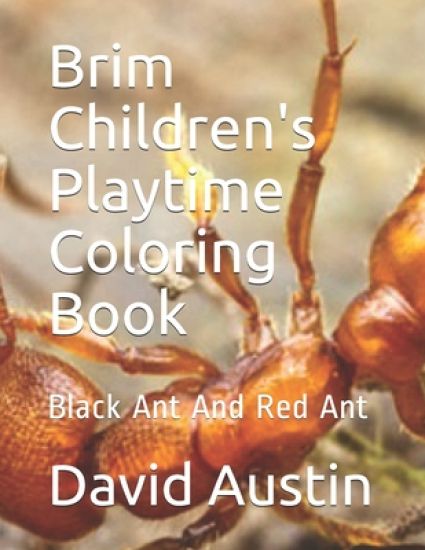 Brim Children's Playtime Coloring Book: Black Ant And Red Ant
