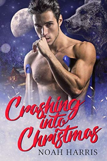 Crashing Into Christmas: A Christmas story