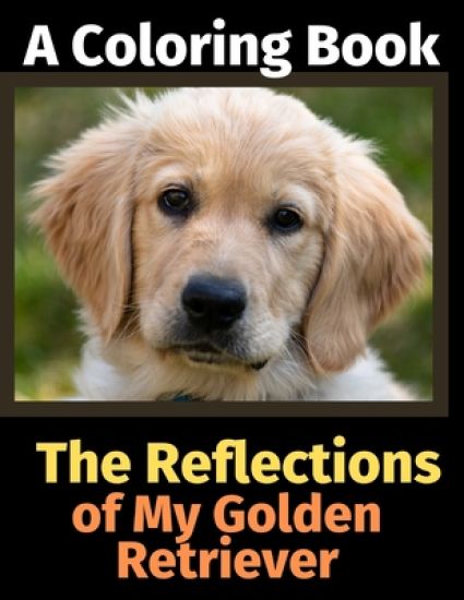The Reflections of My Golden Retriever