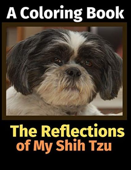 The Reflections of My Shih Tzu