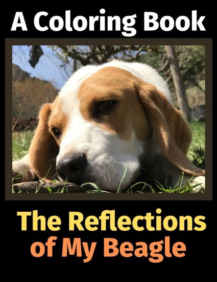 The Reflections of My Beagle: A Coloring Book