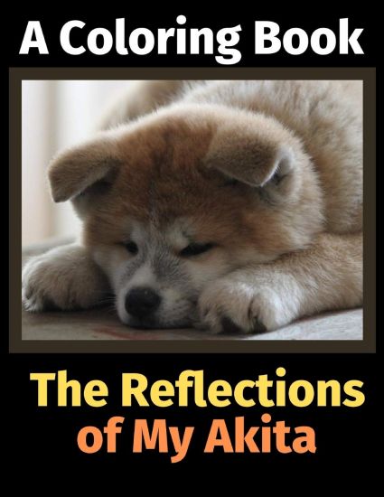 The Reflections of My Akita