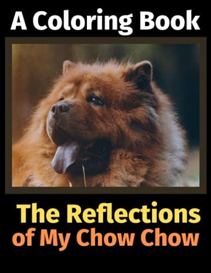 The Reflections of My Chow Chow