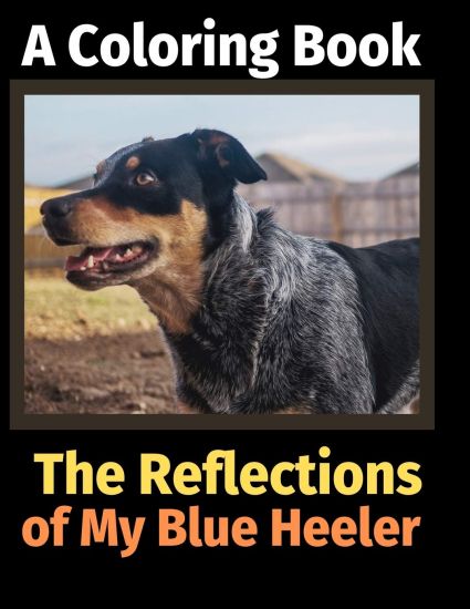 The Reflections of My Blue Heeler: A Coloring Book