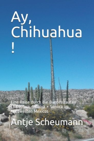 Ay, Chihuahua !: Eine Reise durch die Bundesstaaten Chihuahua, Sinaloa + Sonora im Nordwesten Mexicos
