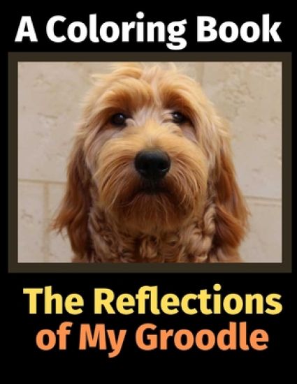 The Reflections of My Groodle: A Coloring Book