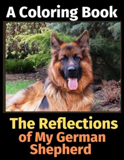 The Reflections of My German Shepherd