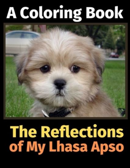 The Reflections of My Lhasa Apso