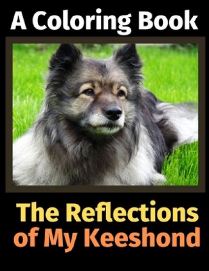 The Reflections of My Keeshond