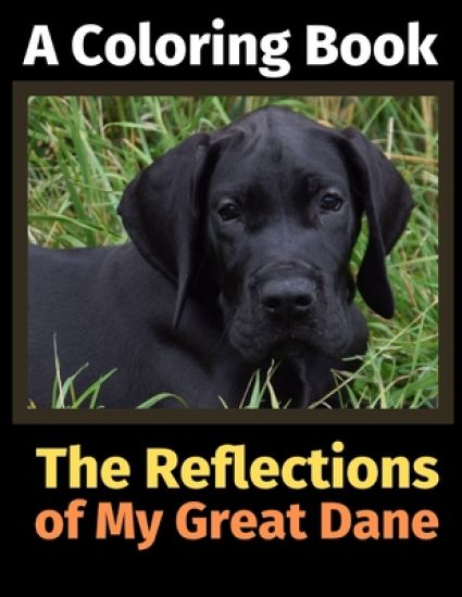 The Reflections of My Great Dane