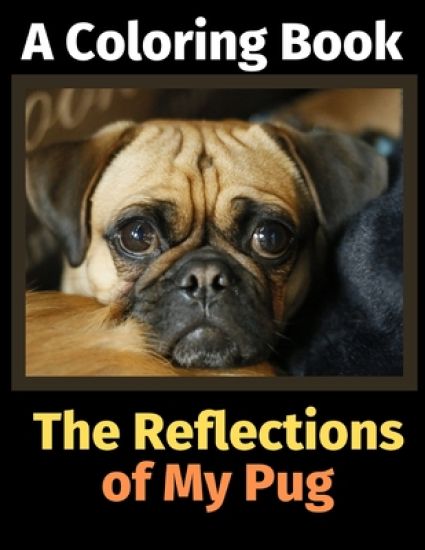 The Reflections of My Pug