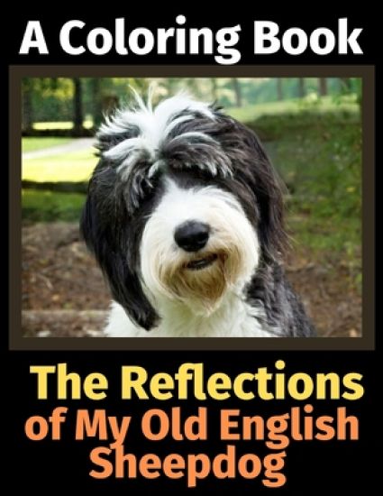 The Reflections of My Old English Sheepdog
