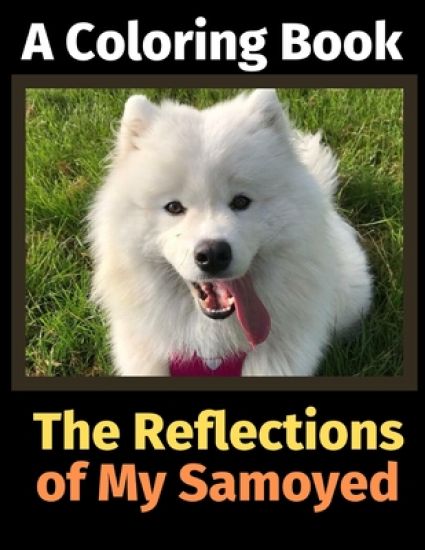 The Reflections of My Samoyed
