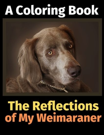 The Reflections of My Weimaraner
