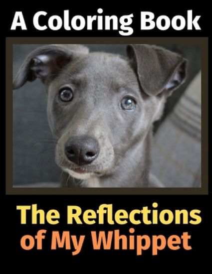 The Reflections of My Whippet