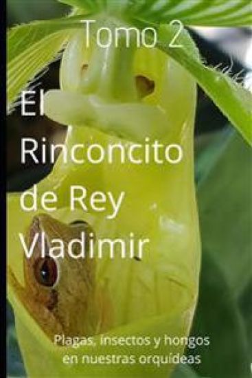 El Rinconcito de Rey Vladimir