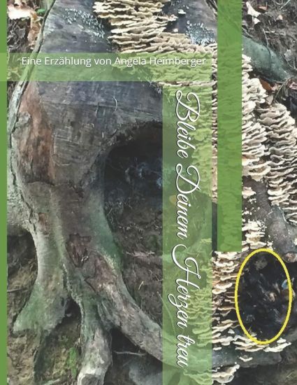 Bleibe Deinem Herzen treu: Eine Erzählung von Angela Heimberger