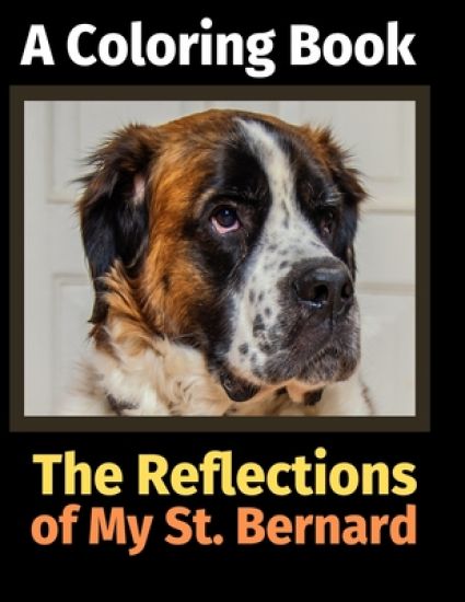 The Reflections of My St. Bernard
