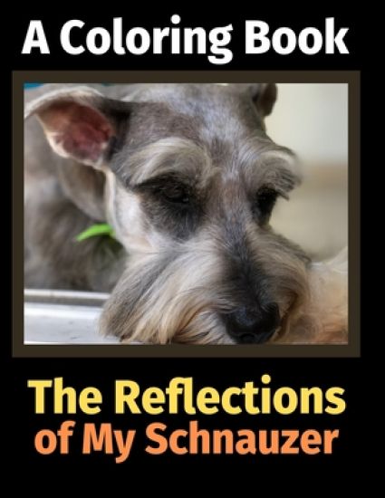 The Reflections of My Schnauzer