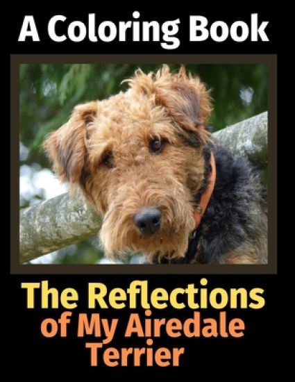 The Reflections of My Airedale Terrier