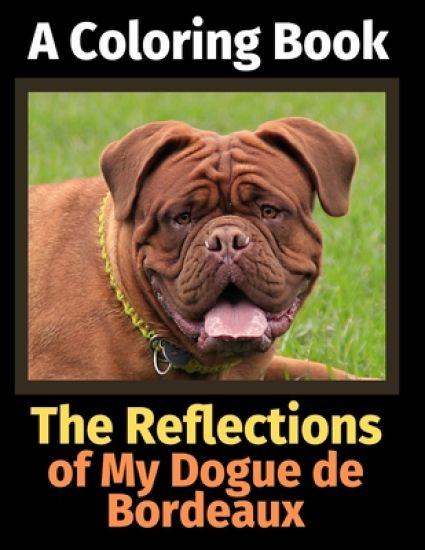 The Reflections of My Dogue de Bordeaux