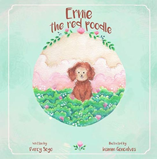 Ernie The Red Poodle