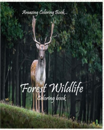 Forest Wildlife: Fun, Easy, Coloring book with cute animals